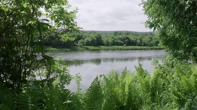 Southern Urals in summer: the Yuryuzan mountain river.