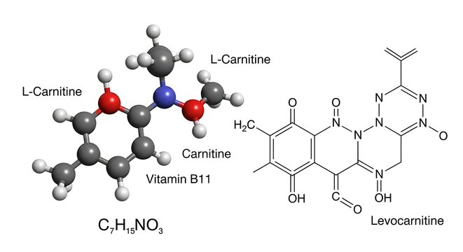 Molecular structures of vitamins b 11 and l carnitine shown in detailed diagrams