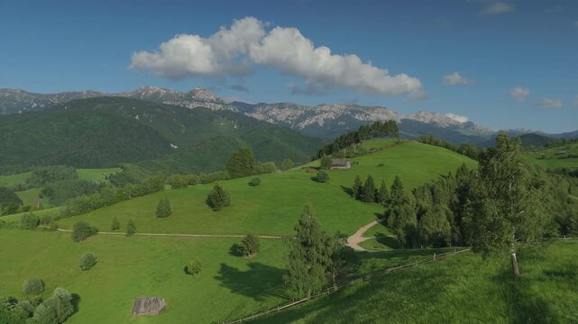 Serene summer landscape of Simon Bran with wind blown grass and majestic Bucegi Mountains, continuous medium altitude aerial drone forward flight pushing over hay fields and barns