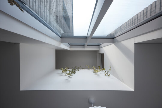 Open atrium void with skylight and plant arrangement in modern home or office