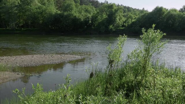 Southern Urals in summer: the Yuryuzan mountain river.