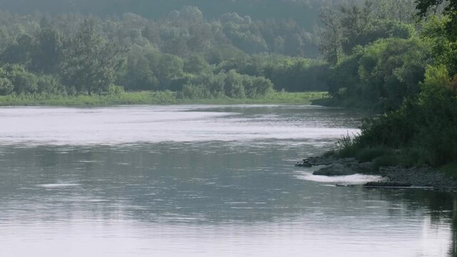 Southern Urals in summer: the Yuryuzan mountain river.
