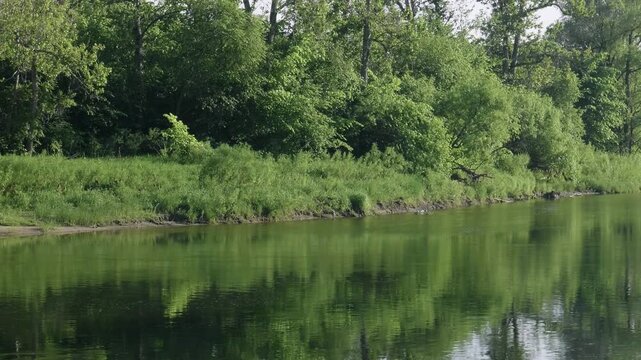 Southern Urals in summer: the Yuryuzan mountain river.