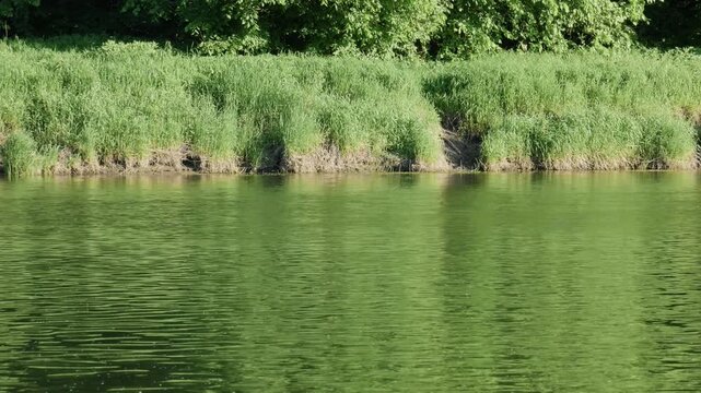 Southern Urals in summer: the Yuryuzan mountain river.