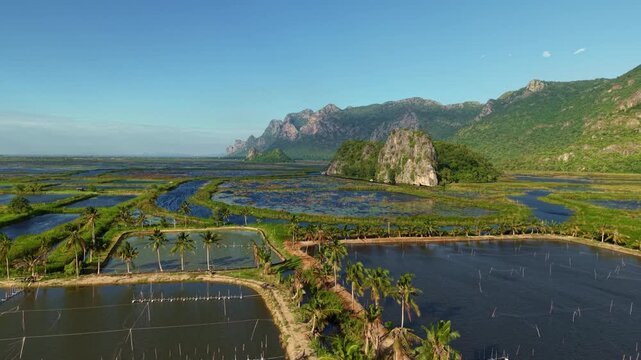 Scenic fish farming pond in Khao Sam Roi Yot Thailand, aquaculture industry.