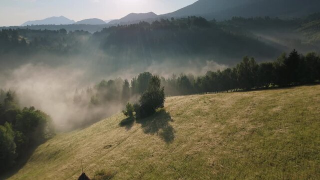 Peaceful mist rising in a rural valley with sunbeams through trees on the ridge, ethereal golden hour scene in the Bran hills, Carpathians,  static aerial shot