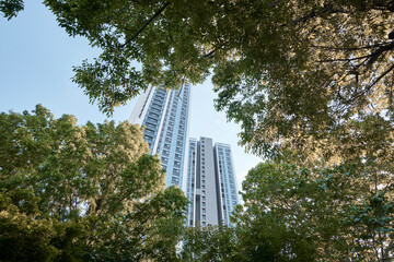 View through trees toward modern residential towers in city landscape © Namsun