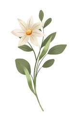 Fototapeta premium Bouquet with flower and leaves, hand painted. Floral botanical illustration. 