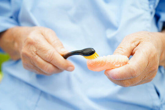 Doctor clean teeth denture with toothbrush for teach patient and dentist studying about dentistry.