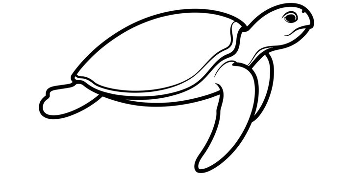 A simple black and white line drawing of a sea turtle swimming forward for children to color in