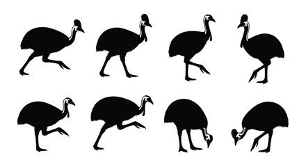Fototapeta premium Black Cassowary Flightless Bird Silhouette Set Vector Illustration Collection Isolated on White Background