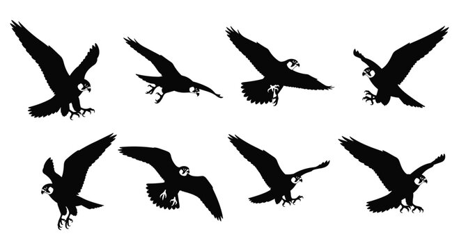 Black Osprey Fish Hawk Silhouette Set Vector Illustration Collection Isolated on White Background