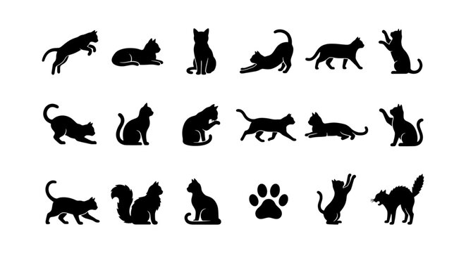 Black cat silhouette set, 17 feline poses and paw print, vector icons