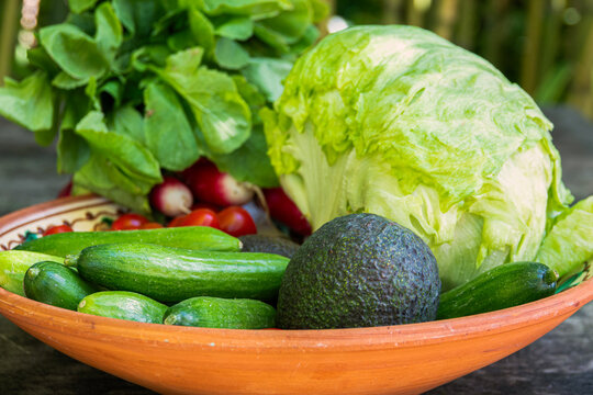 Fresh vegetables arranged in a bowl on a table