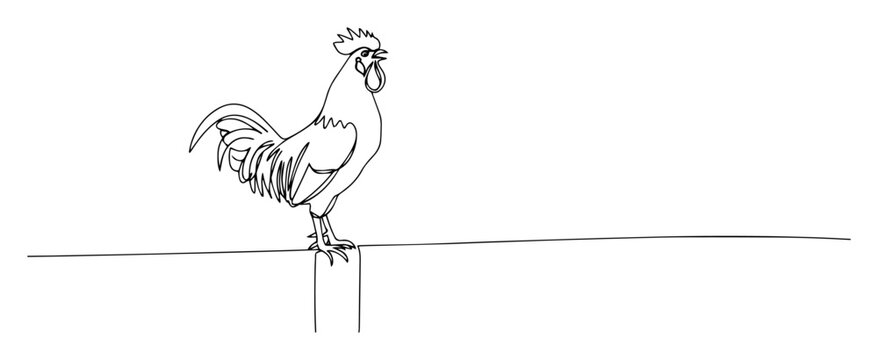 rooster perched on wire fence line art