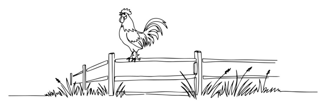 rooster standing on wooden fence drawing