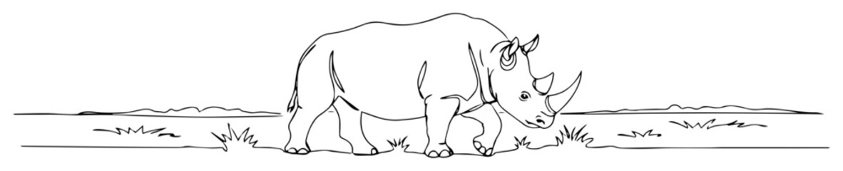 walking rhinoceros on savanna line art illustration © Wieslaw