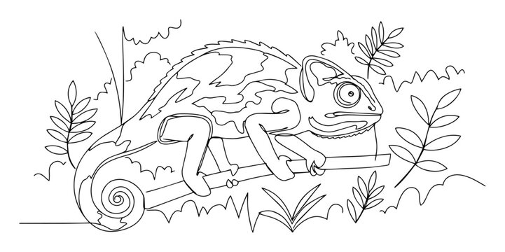 chameleon on jungle branch black and white vector