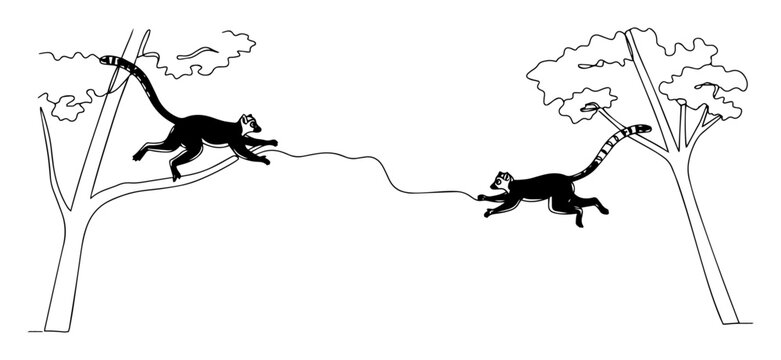monkeys jumping between trees in jungle sketch