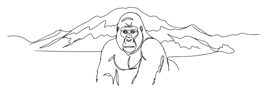 gorilla sitting in front of mountain outline vector