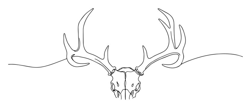 deer skull with large antlers continuous one line drawing
