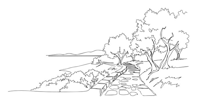 stone path on coastal cliff with mediterranean trees vector line illustration