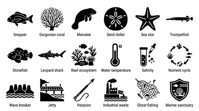 Set of marine and ocean icons featuring diverse sea creatures, environmental conditions, and conservation symbols for educational materials.