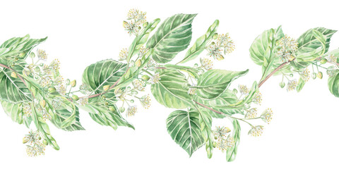 Fototapeta premium A seamless border with a linden branch and flowers in a wave shape. Isolated watercolor illustration for flower shops, cosmetic brands, pharmacies, wedding printing, textile production, and packaging.