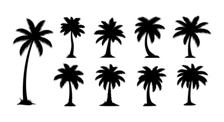 Obraz premium Tropical palm tree silhouettes, 9 black coconut tree vectors, summer icons
