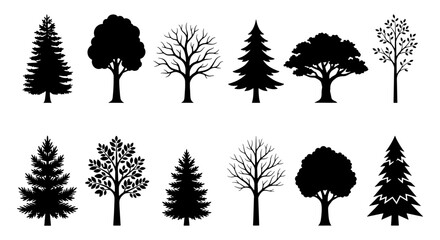 Black tree silhouettes, 12 forest plant icons, pine and oak vector set © Sourov