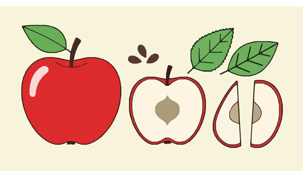 Flat apple fruit set vector illustration