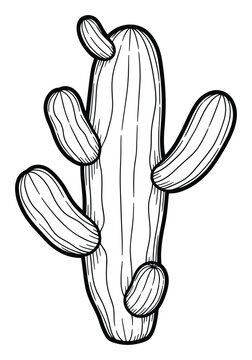 Handdrawn black and white line illustration of a multiarmed saguaro cactus, perfect for desert plant themes, botanical designs, or natureinspired graphic assets.
