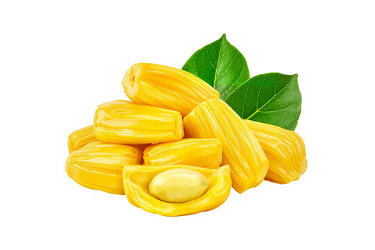 jackfruit isolated on white