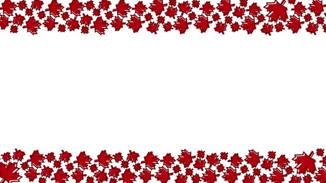 Canada Day background with red maple leaf illustration animation	