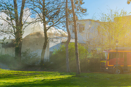 Incendie sur les berges du Lac d'Annecy, Annecy, Haute-Savoie