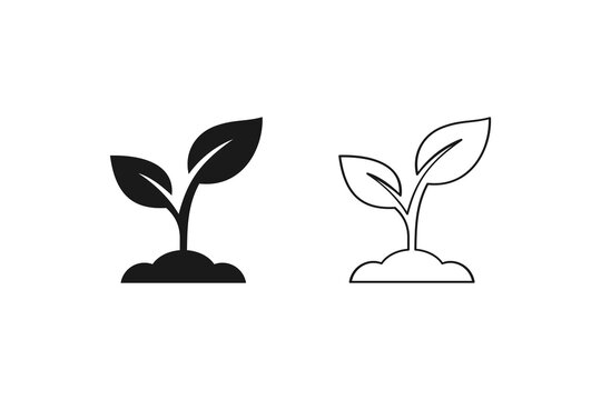 Young plant sprout growing from soil icon for nature and growth