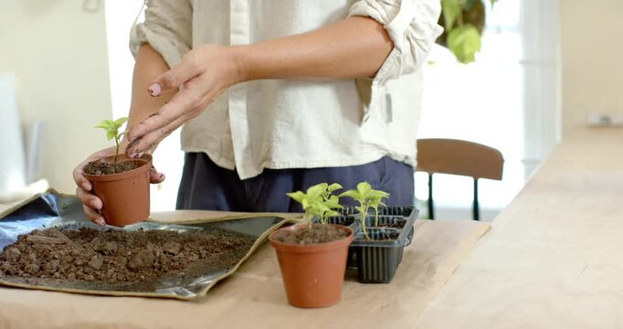 African American nonbinary linen lifting clay pot, adding soil, tamping plant at table for potting