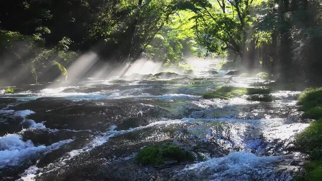 菊池渓谷の光芒