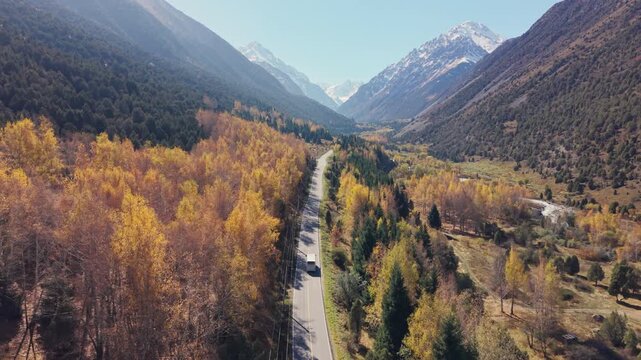 Scenic autumn landscape of bus driving through yellow pine forest in Ala Archa national park, Kyrgyzstan