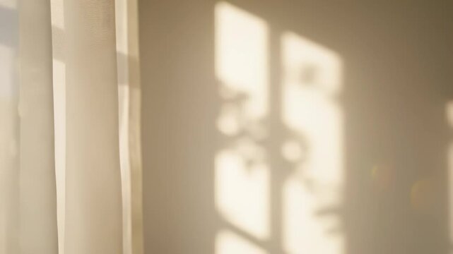 Warm Sunlight Casting Window and Curtain Shadows on a Neutral Wall
