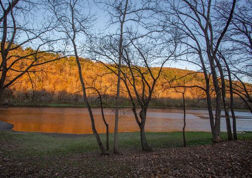 View of golden light sweeps across the water and hillside, framed by the stark silhouettes of bare trees on the grassy bank, Arkansas, United States.