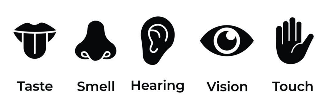 Human senses icon set. Vision eye, smell nose, hearing ear, touch hand, taste mouth with tongue. Simple line icons and black circle. Five senses of human nervous system. Vector illustration.