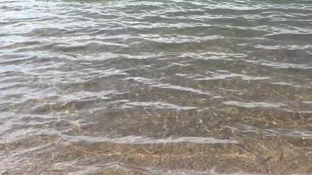 The transparent calm surface of the lake, the quiet water. The watery background is soothing.