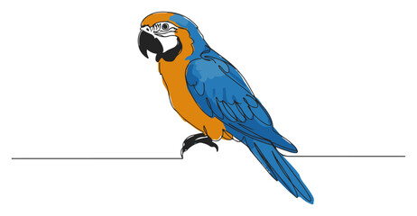 Single continuous line drawing of a beautiful Blue-and-yellow Macaw parrot Tropical exotic bird from the Amazon rainforest Minimalist vector illustration © Wieslaw