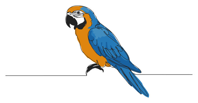 Single continuous line drawing of a beautiful Blue-and-yellow Macaw parrot Tropical exotic bird from the Amazon rainforest Minimalist vector illustration