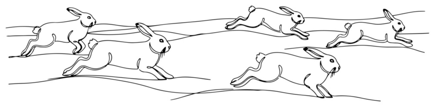 Single continuous line drawing of a group of running hares Wildlife rabbits in motion across a field Concept of speed and nature Minimalist vector illustration