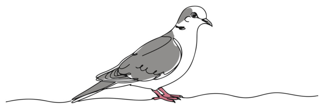 Single continuous line drawing of a realistic standing pigeon or dove Urban city bird and symbol of peace Minimalist vector illustration