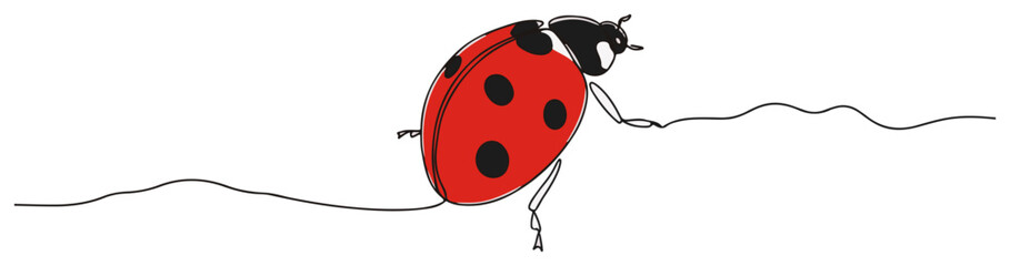 Cute ladybug insect colored continuous one line drawing minimalist garden wildlife vector illustration © Wieslaw