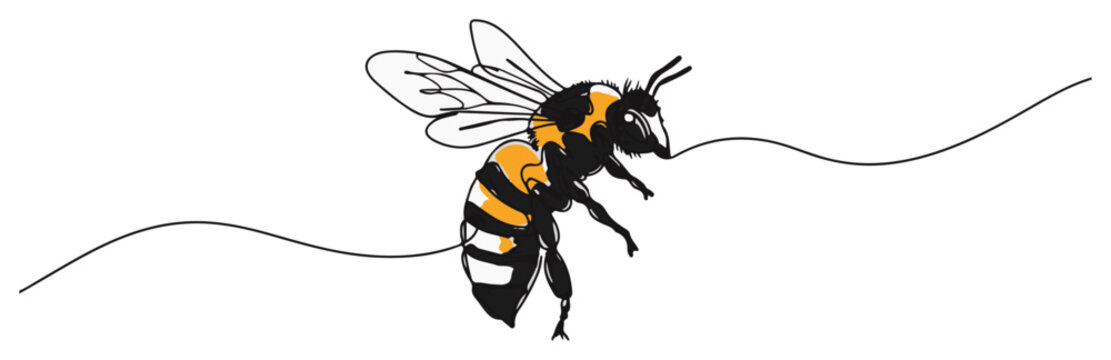 Flying honey bee insect. Continuous one line drawing with color vector illustration.