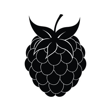 thimble berry fruit silhouette art